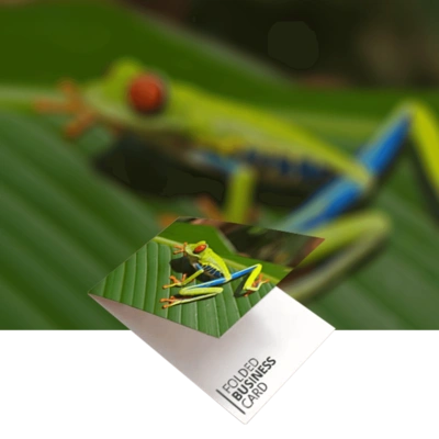 Folded Business Cards Product Image